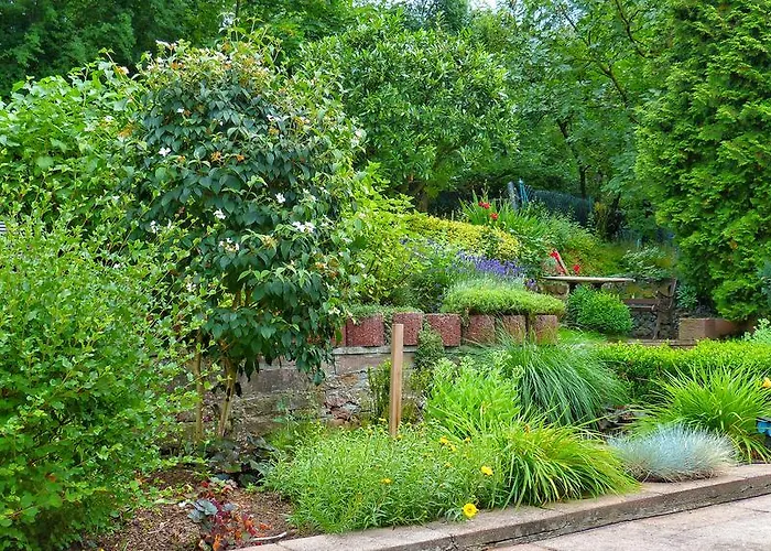 Rosenbusch Großheubach