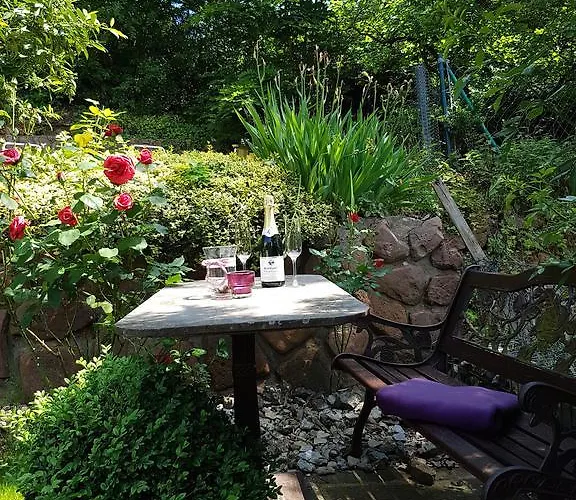 Hotel Rosenbusch Grossheubach